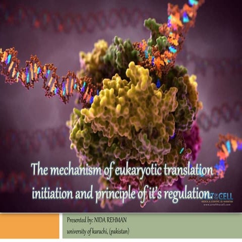 eukaryotic translation initiation and its regulation