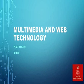 Multimedia Web Technology (MMWT)