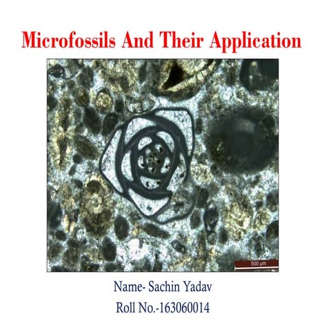 Microfossils and their Applications in petroleum Industry 