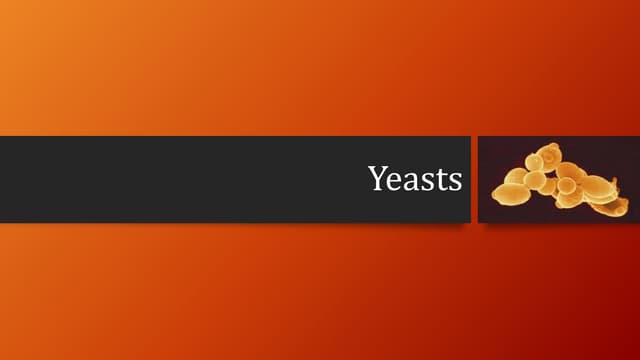 yeasts