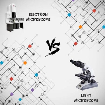 Light Microscope and Electron Microscope [Best one]