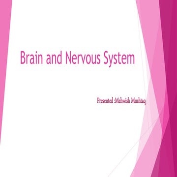 Brain and Nervous System