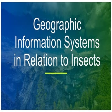 Geostatic Information System in Relation to Insects
