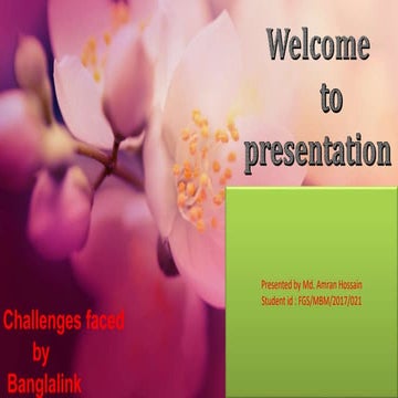 Banglalink presentation - 2018-10-13.pptx