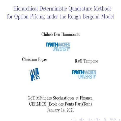 Hierarchical Deterministic Quadrature Methods for Option Pricing under the Ro...