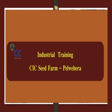 CIC Agri business.pptx