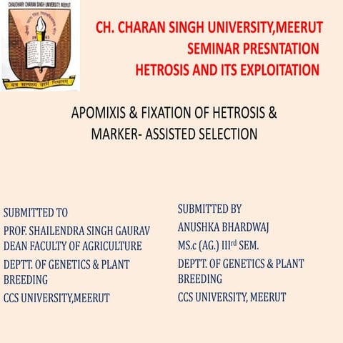 APOMIXIX,FIXTATION OF HETROSIS, MARKER ASSISTED SELECTION .pptx