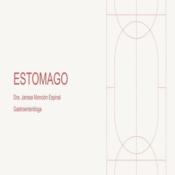 Estomago: anatomia y patologias frecuentes