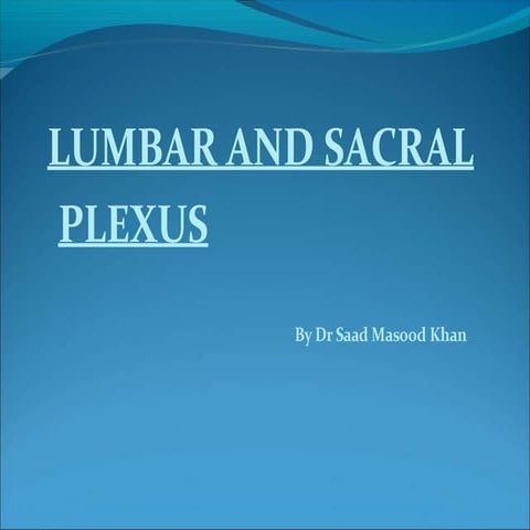 Lumbo Sacral Plexus Presentation.pptx