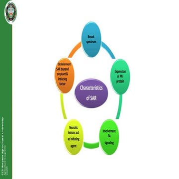 presentation.pptx seminar tyyyuuh vgtthh