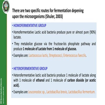 presentation.pptx presentation presentation