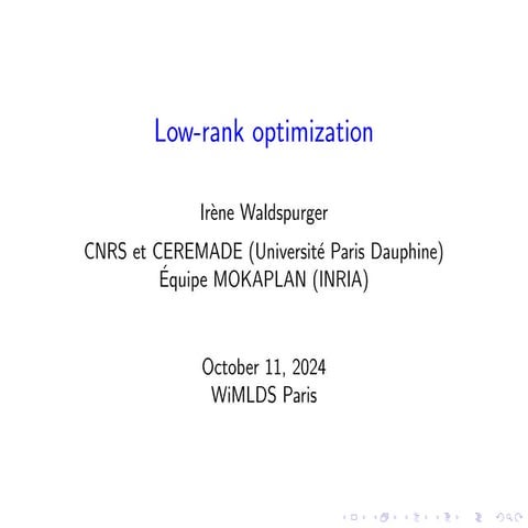 Low Rank Optimisation, by Irène Waldspurger