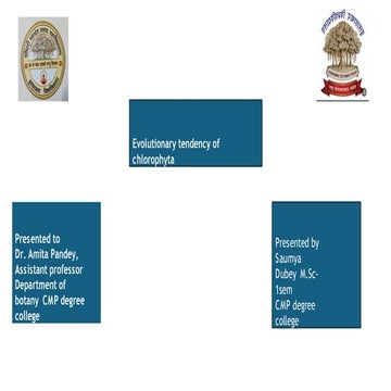 Presentation.pptx A general account of Green Algae