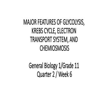 MAJOR FEATURE OF GLYCOLYSIS, KREB CYCLE, ELECTRON TRANSPORT CHAIN