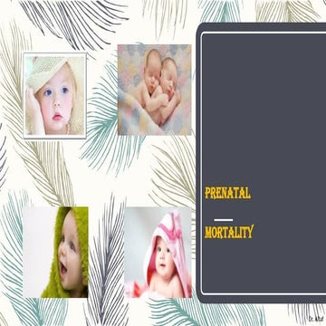 Parenatal mortality lecture saudi arabia