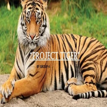 Presentation_project_tiger_grade10_.pptx