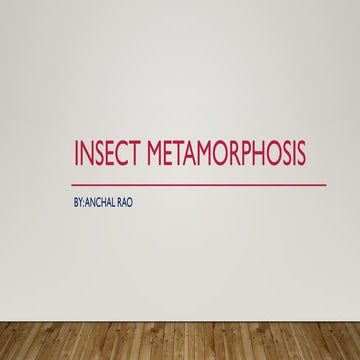 Insect metamorphosis presentation22.pptx