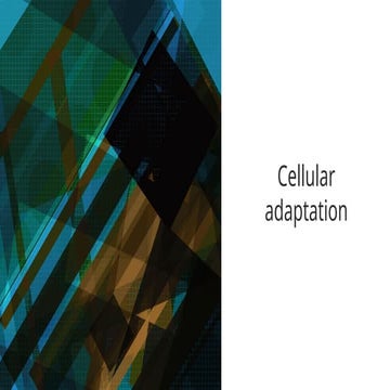 presentation.pptx cellular respiration present | PPTX