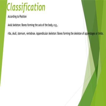 Detailed Classification of the Human Skeleton by Position and Function ...