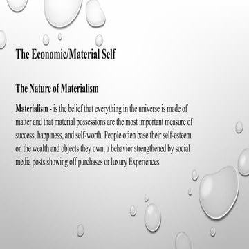 The Economic/Material Self: UTSelf_.pptx
