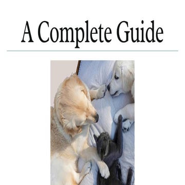 Comprehensive Guide to Daily Pet Care for Health and Happiness | PDF