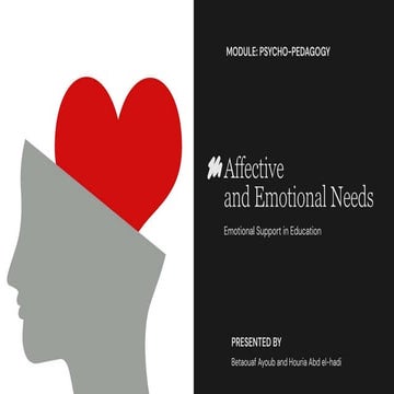 Presentation - Affective Needs /affective | PDF