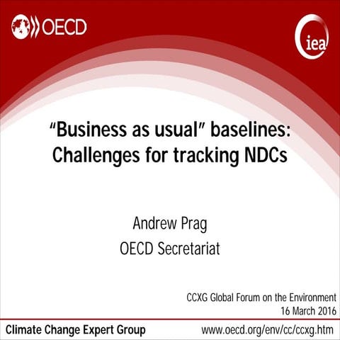 "Business as usual" baselines: Challenges for tracking NDCs by Andrew Prag
