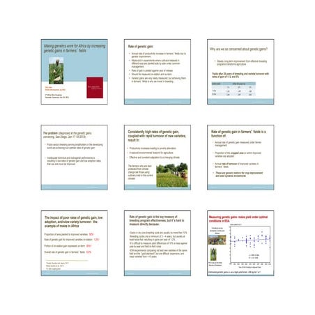 Making genetics work for Africa by increasing genetic gains in farmers’ fields