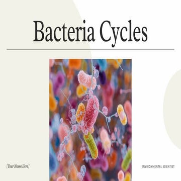 BACTERIA CYCLES IN C, N, P , S CYCLES. MICROBIOLOGY | PDF