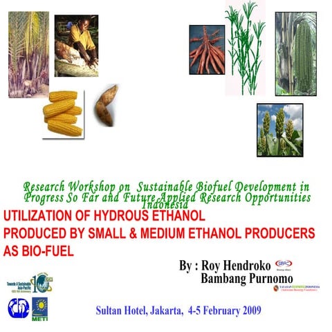 Ethanol biofuel and biodiesel | PPTX