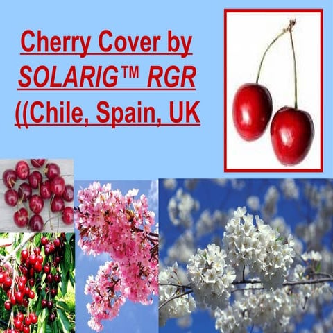 Apple Flowering and Fruit Quality | PPTX