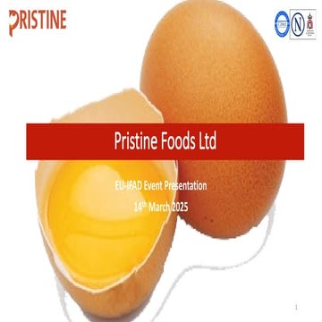A small enterprise producing liquid and egg powder products