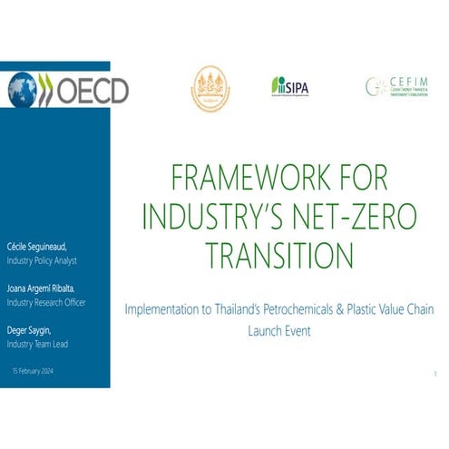 Framework for industry's net-zero transition, CEFIM, OECD.pdf