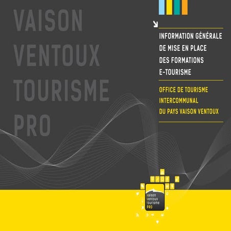 Mise en place de la stratégie d'Animation Numérique de Territoire en Pays Vai...