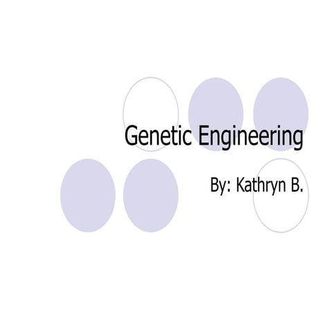 Product Presentation -KathrynB