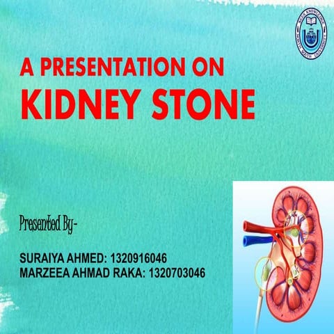 Presentation kidney-stone final