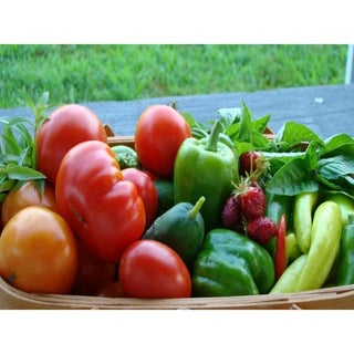 High Altitude Food Gardening - Ever...