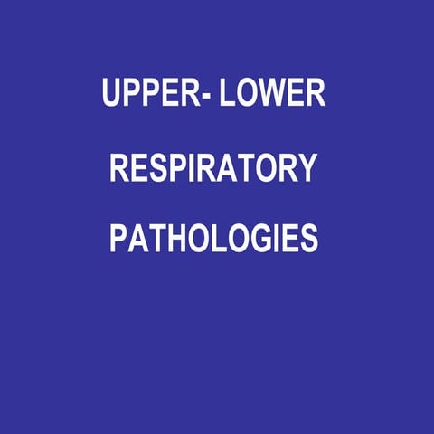 Presentation Mdc Pulmo