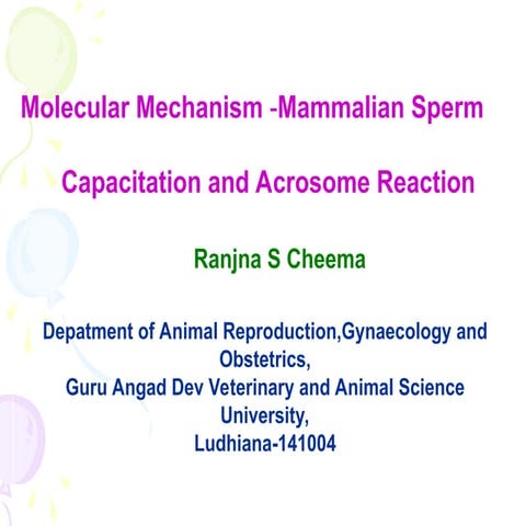 Molecular Mechanism -Mammalian Sperm        Capacitation and Acrosome Reaction