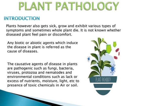 Plant pathology .pptx