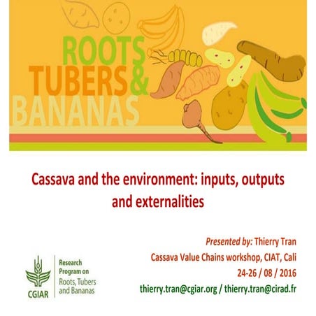 Cassava and the environment: inputs, outputs and externalities