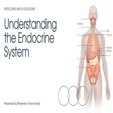 Presentation - Understanding the Endocrine System.pdf