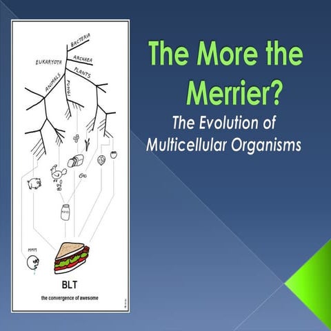 Presentation 02 - The Origin Of Multicellularity And The Volvocine Series