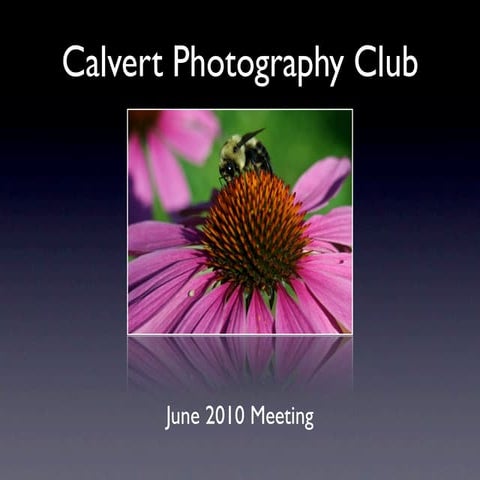 June Meeting