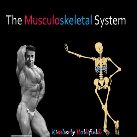 The Musculoskeletal System
