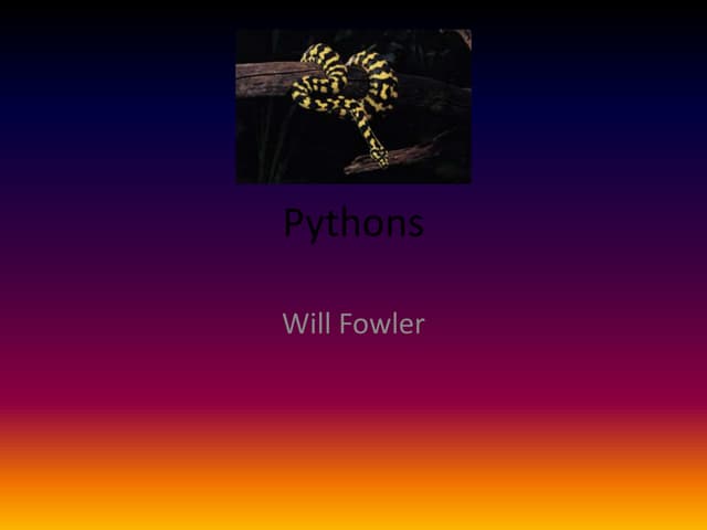 Pythons | PPT