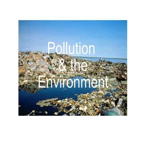 The clean water act Rachel Kyle | PPTX