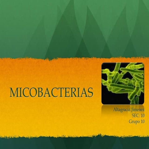 Mycobacterias