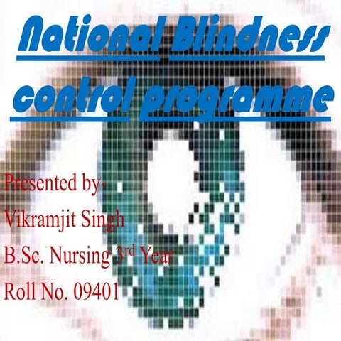 national blindness control programme