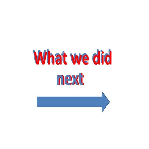 What we did next after the questionnaire